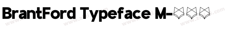 BrantFord Typeface M字体转换